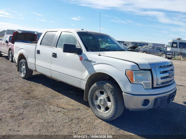 Aukcja sprzedaży 2012 Ford F150 Supercrew, vin: 1FTFW1EF3CFC43962, numer aukcji: 30101372