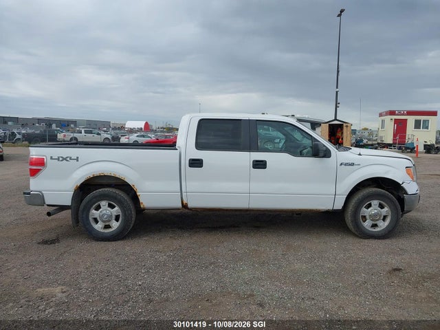 Продаж на аукціоні авто 2013 Ford F150 Supercrew, vin: 1FTFW1EF5DFC74390, номер лоту: 30101419