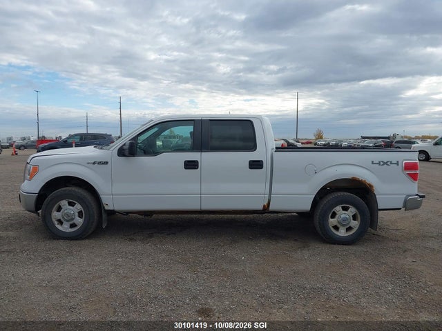 Продаж на аукціоні авто 2013 Ford F150 Supercrew, vin: 1FTFW1EF5DFC74390, номер лоту: 30101419