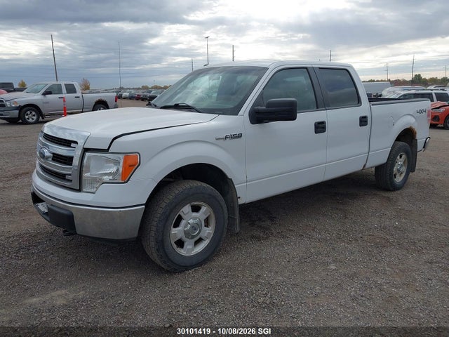 Продаж на аукціоні авто 2013 Ford F150 Supercrew, vin: 1FTFW1EF5DFC74390, номер лоту: 30101419