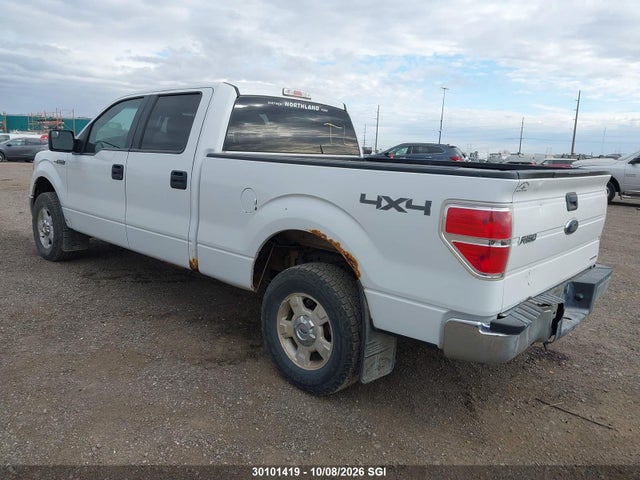 Продаж на аукціоні авто 2013 Ford F150 Supercrew, vin: 1FTFW1EF5DFC74390, номер лоту: 30101419