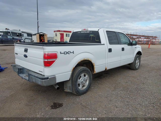 Продаж на аукціоні авто 2013 Ford F150 Supercrew, vin: 1FTFW1EF5DFC74390, номер лоту: 30101419
