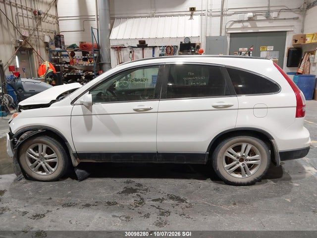 Aukcja sprzedaży 2010 Honda Cr-v Ex, vin: 5J6RE4H52AL800129, numer aukcji: 30098280