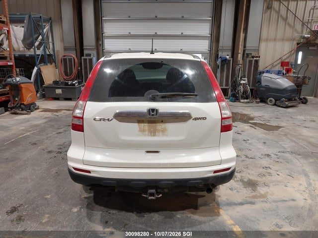 Aukcja sprzedaży 2010 Honda Cr-v Ex, vin: 5J6RE4H52AL800129, numer aukcji: 30098280