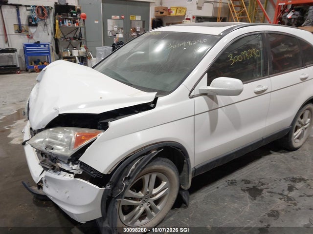 Aukcja sprzedaży 2010 Honda Cr-v Ex, vin: 5J6RE4H52AL800129, numer aukcji: 30098280