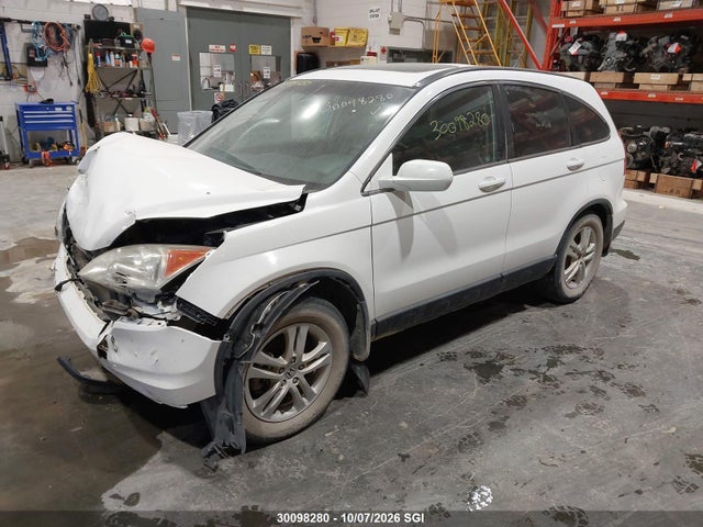Aukcja sprzedaży 2010 Honda Cr-v Ex, vin: 5J6RE4H52AL800129, numer aukcji: 30098280