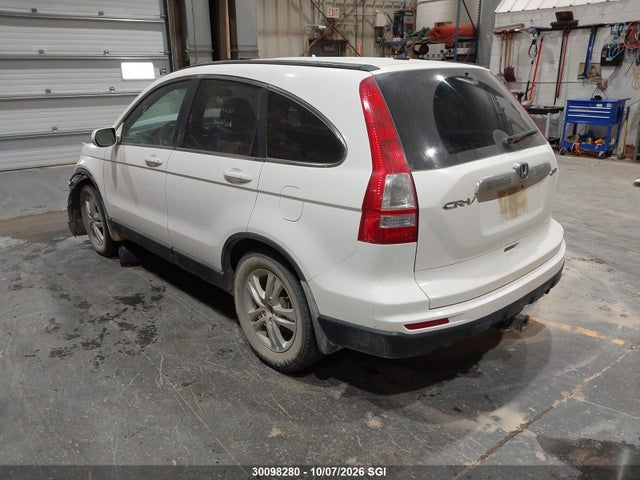 Aukcja sprzedaży 2010 Honda Cr-v Ex, vin: 5J6RE4H52AL800129, numer aukcji: 30098280
