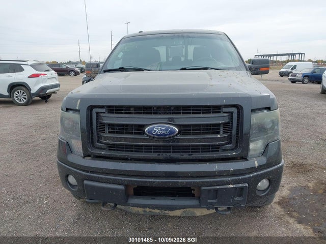Продаж на аукціоні авто 2013 Ford F150 Supercrew, vin: 1FTFW1ET0DFC36832, номер лоту: 30101485