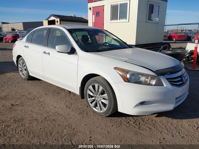 Auction sale of the 2011 Honda Accord Exl, vin: 1HGCP3F84BA800516, lot number: 30101505