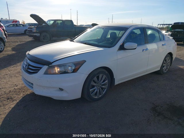 30101505 :رقم المزاد ، 1HGCP3F84BA800516 vin ، 2011 Honda Accord Exl مزاد بيع