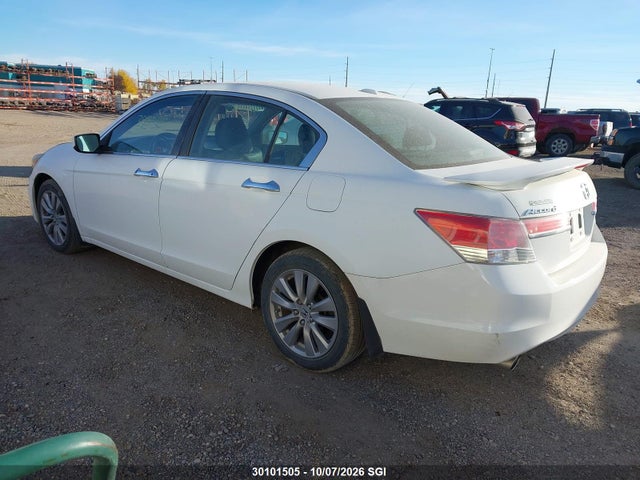 30101505 :رقم المزاد ، 1HGCP3F84BA800516 vin ، 2011 Honda Accord Exl مزاد بيع