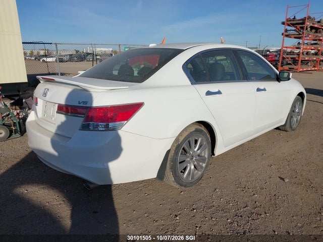 30101505 :رقم المزاد ، 1HGCP3F84BA800516 vin ، 2011 Honda Accord Exl مزاد بيع