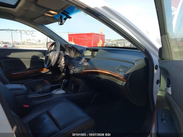 30101505 :رقم المزاد ، 1HGCP3F84BA800516 vin ، 2011 Honda Accord Exl مزاد بيع