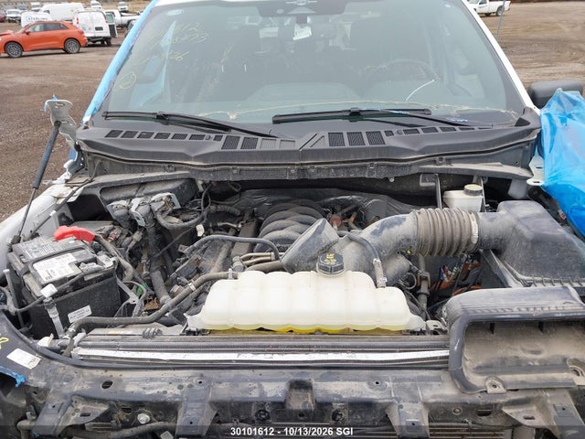 Ford F150 Supercrew 2023 1FTFW1E50PKF38473 Image 10