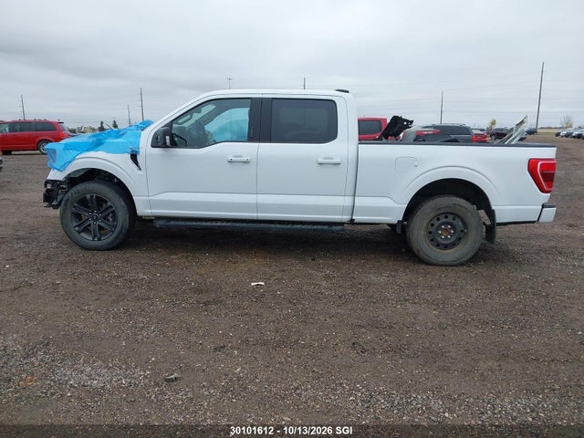 Ford F150 Supercrew 2023 1FTFW1E50PKF38473 Image 15