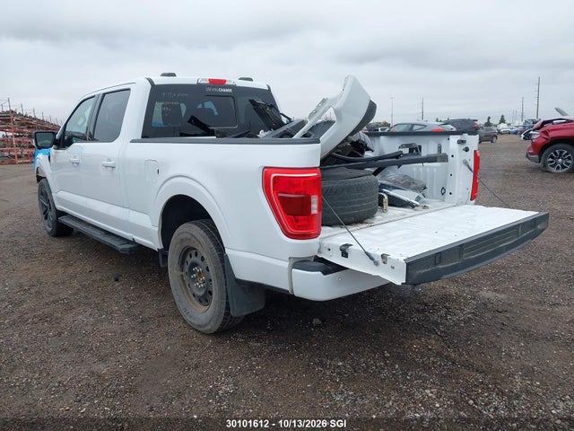 Ford F150 Supercrew 2023 1FTFW1E50PKF38473 Image 3