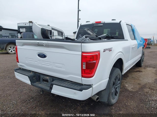 Ford F150 Supercrew 2023 1FTFW1E50PKF38473 Image 4