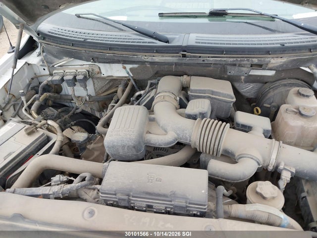2009 Ford F150 მანქანა იყიდება აუქციონზე, vin: 1FTPF12V49KA74986, აუქციონის ნომერი: 30101566