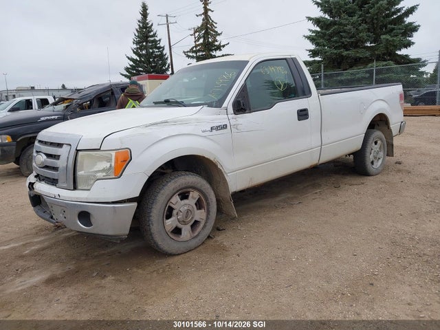 2009 Ford F150 მანქანა იყიდება აუქციონზე, vin: 1FTPF12V49KA74986, აუქციონის ნომერი: 30101566