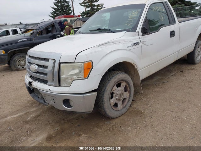 2009 Ford F150 მანქანა იყიდება აუქციონზე, vin: 1FTPF12V49KA74986, აუქციონის ნომერი: 30101566