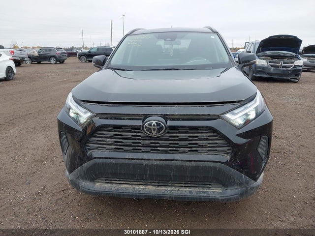 Продаж на аукціоні авто 2025 Toyota Rav4 Xle/woodland Edition, vin: 2T3RWRFV7SW263565, номер лоту: 30101887