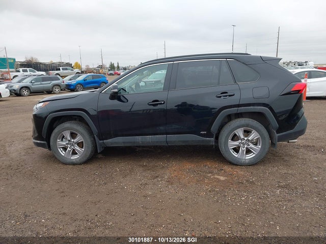 Продаж на аукціоні авто 2025 Toyota Rav4 Xle/woodland Edition, vin: 2T3RWRFV7SW263565, номер лоту: 30101887