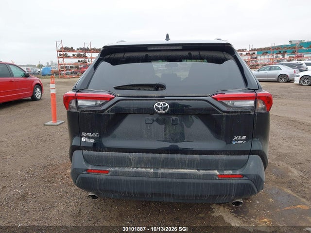 Продаж на аукціоні авто 2025 Toyota Rav4 Xle/woodland Edition, vin: 2T3RWRFV7SW263565, номер лоту: 30101887