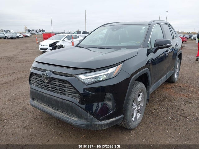 Продаж на аукціоні авто 2025 Toyota Rav4 Xle/woodland Edition, vin: 2T3RWRFV7SW263565, номер лоту: 30101887