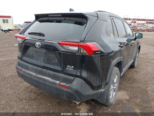 Продаж на аукціоні авто 2025 Toyota Rav4 Xle/woodland Edition, vin: 2T3RWRFV7SW263565, номер лоту: 30101887