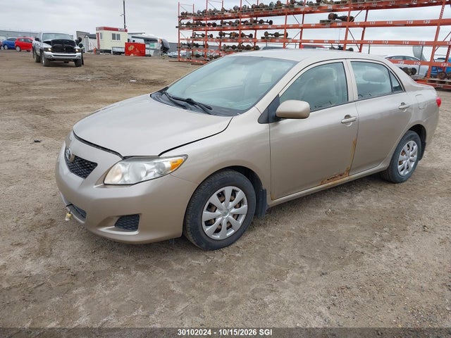 30102024 :رقم المزاد ، 2T1BU4EE8AC245838 vin ، 2010 Toyota Corolla S/le/xle مزاد بيع