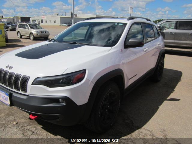 Jeep Cherokee Trailhawk 2020 1C4PJMBX5LD656723 Image 2
