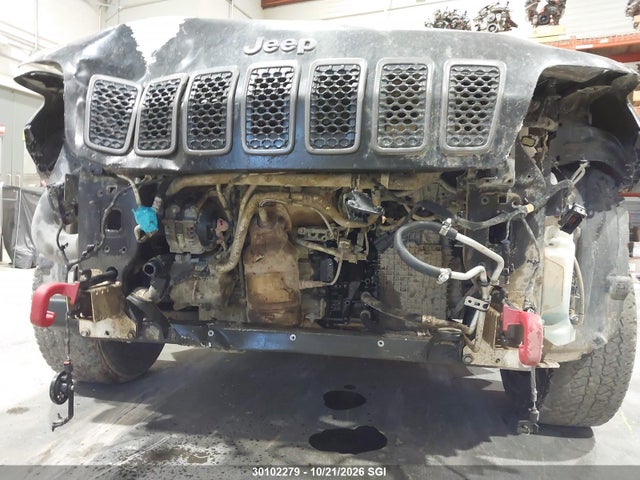 Продаж на аукціоні авто 2019 Jeep Cherokee Trailhawk, vin: 1C4PJMBX6KD115548, номер лоту: 30102279