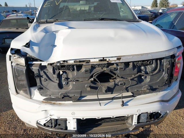 Ford F150 Lightning Pro/lightning Xlt/lightning Lariat/lightning Platinum 2023 1FTVW1EVXPWG14009 Image 6