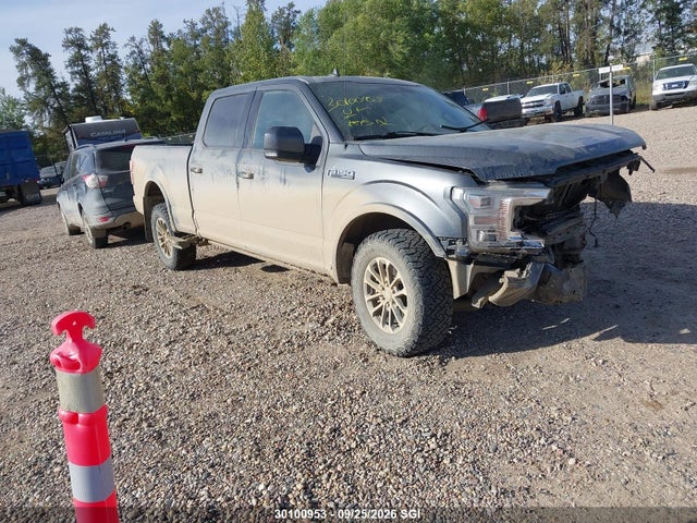 Продажа на аукционе авто 2019 Ford F150 Supercrew, vin: 1FTFW1E50KFC58800, номер лота: 30100953
