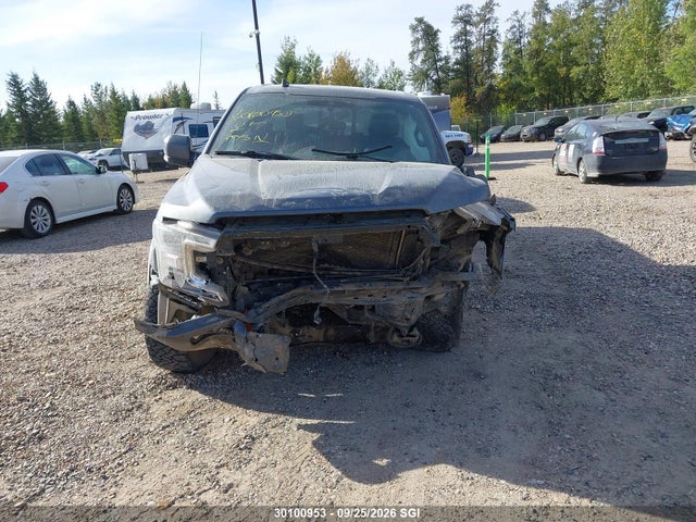 Продажа на аукционе авто 2019 Ford F150 Supercrew, vin: 1FTFW1E50KFC58800, номер лота: 30100953