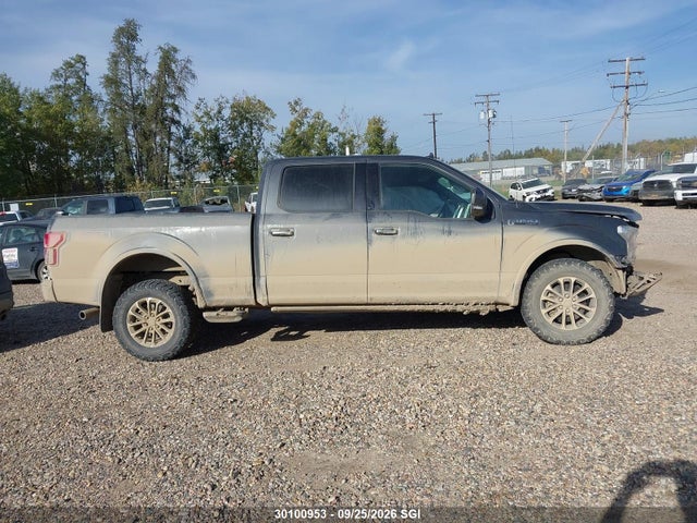 Продажа на аукционе авто 2019 Ford F150 Supercrew, vin: 1FTFW1E50KFC58800, номер лота: 30100953