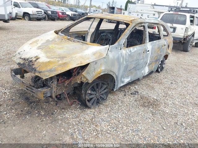 KIA SORENTO EX 2019 5XYPHDA35KG490956 Image 2