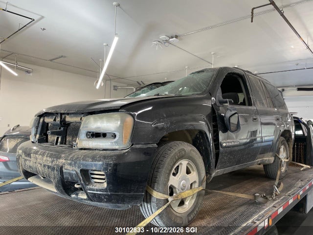 Aukcja sprzedaży 2002 Chevrolet Trailblazer, vin: 1GNDT13S022529734, numer aukcji: 30102833