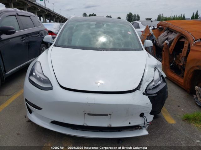 5YJ3E1EA6KF445126 Tesla 2019