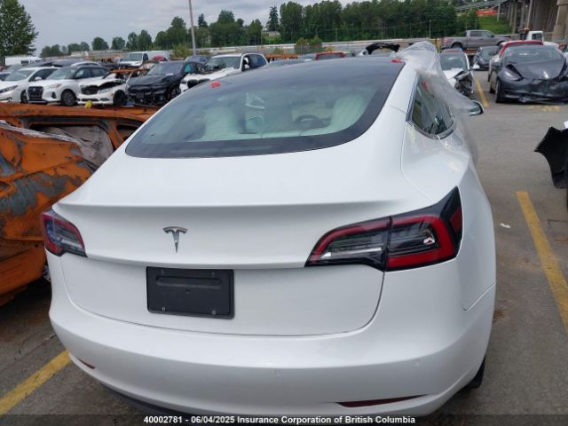 5YJ3E1EA6KF445126 Tesla 2019