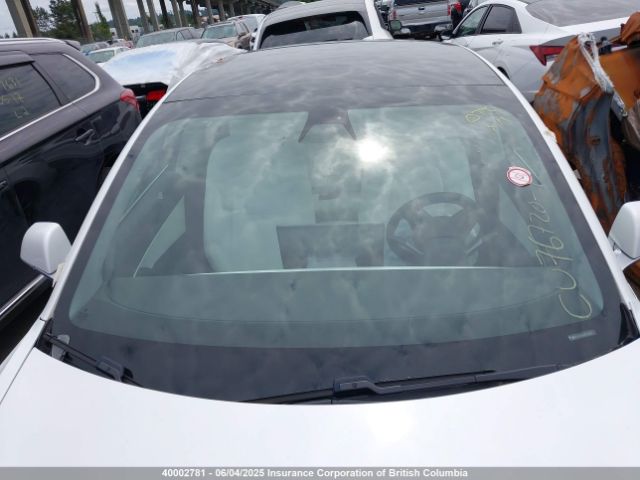 5YJ3E1EA6KF445126 Tesla 2019