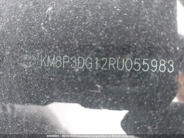 KM8P3DG12RU055983 Hyundai Santa Fe Preferred
