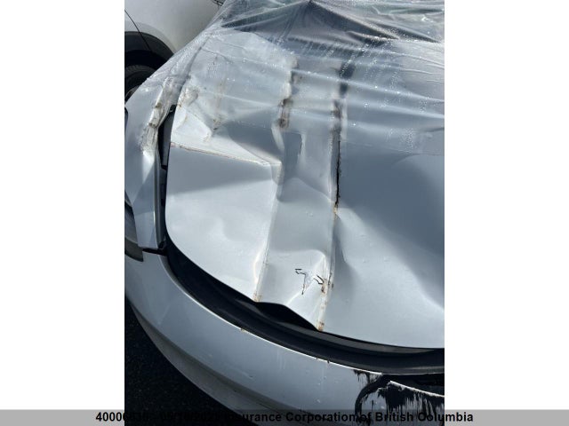 5YJ3E1EA9LF625539 Tesla MODEL 3