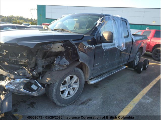 1FTFX1EG5FFA21059 Ford 2015