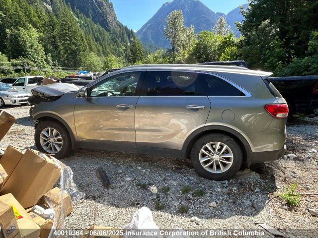 5XYPGDA13HG254624 KIA 2017