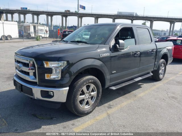1FTEW1EG7FFC09497 Ford F150