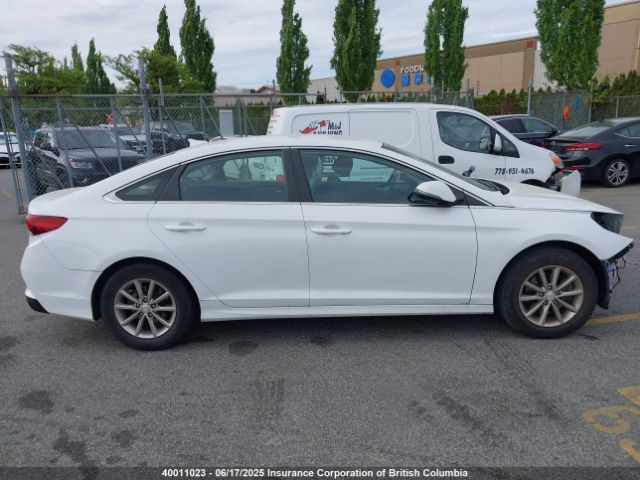 5NPE24AFXJH702955 Hyundai SONATA SE