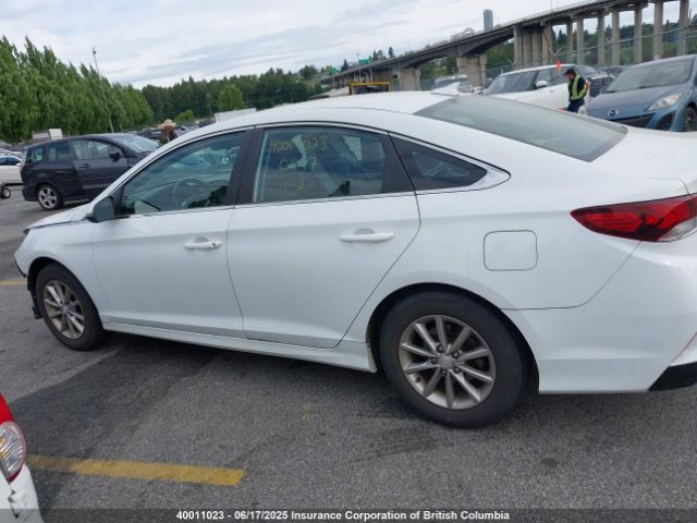 5NPE24AFXJH702955 Hyundai SONATA SE