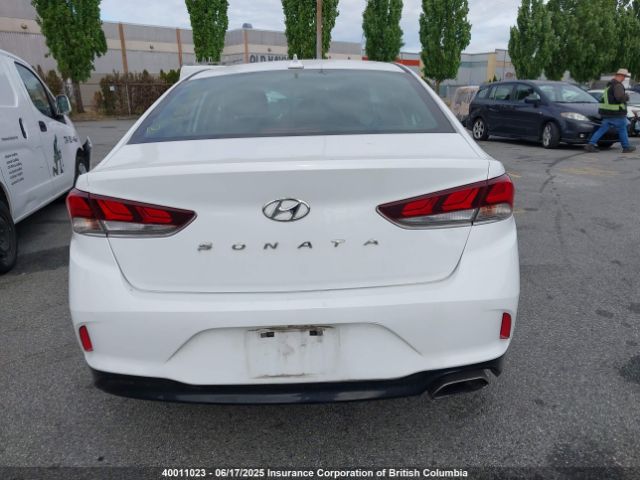 5NPE24AFXJH702955 Hyundai SONATA SE