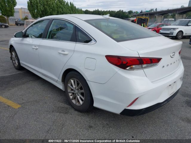 5NPE24AFXJH702955 Hyundai SONATA SE
